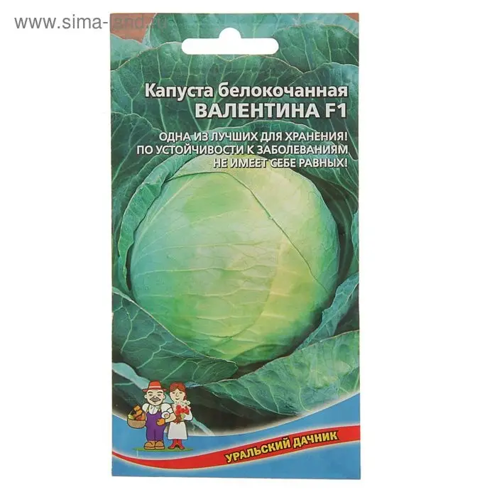 Семена Капуста белокочанная "Валентина F1" поздний,кочан 3,5-5 кг,очень плотный 0,1 г