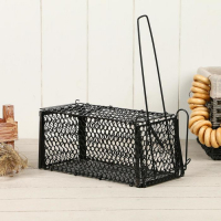 Крысоловка, 24 &times; 12 &times; 12 см, металлическая, Greengo