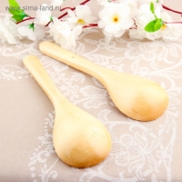 Ложка салатная, покрытая лаком, 6&times;21 см