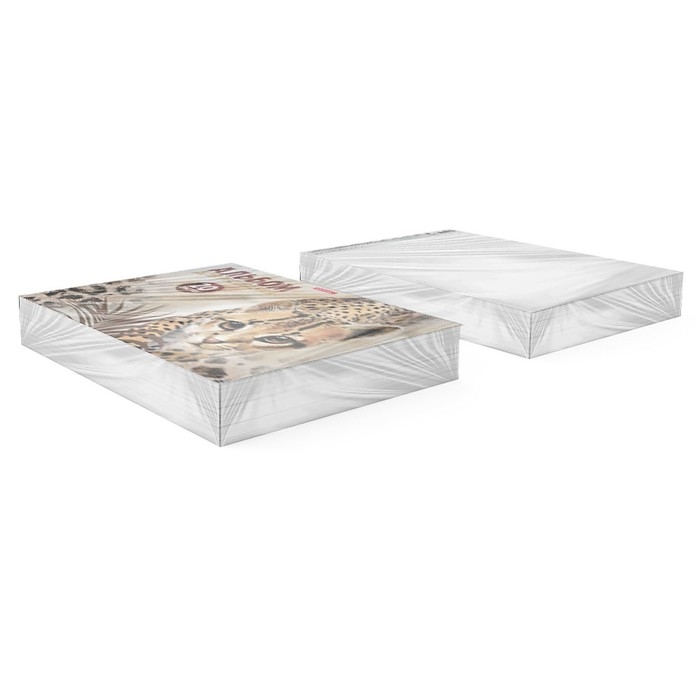 Альбом для рисования А4, 20 листов, блок 120 г/м&sup2;, на клею, Erich Krause "Wild Cat", 100% белизна, твердая подложка