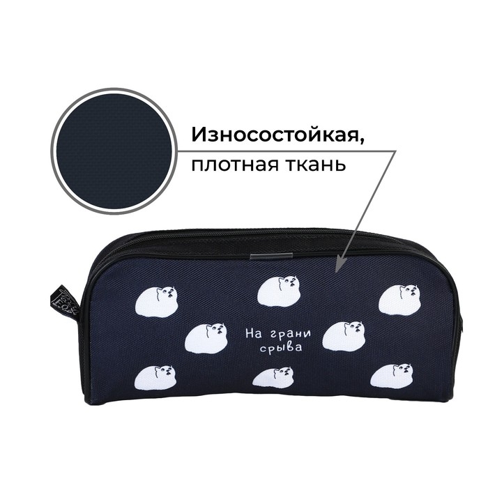 Пенал школьный текстильный &laquo;1 сентября: На грани срыва&raquo; Кот, 20 х 8 х 4 см