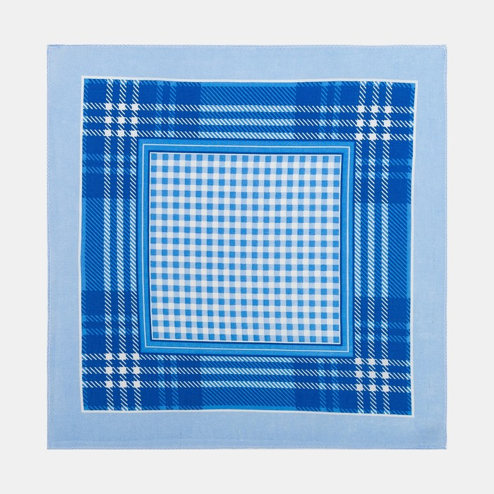 Платки носовые мужские Этель 30*30 см,(набор 12 шт,) цв.Голубой, рис. МИКС 100% хл