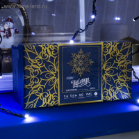 Гирлянда &laquo;Бахрома&raquo; 3 &times; 0.6 м, IP44, УМС, тёмная нить, 160 SMD-LED, свечение белое, 220 В