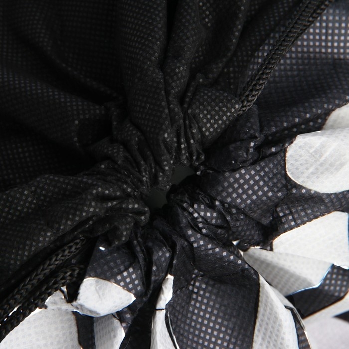 Мешок для обуви &laquo;Скорость&raquo; с прозрачным окном 30 х 40 см