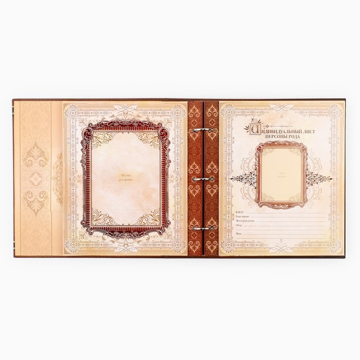 Родословная книга с рамкой под фото &laquo;Семейная летопись&raquo;, 50 листов, 21,5 х 23,7 см.