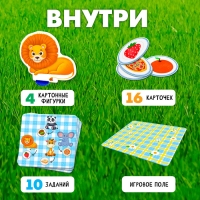 Развивающий набор &laquo;Всё по местам&raquo;, 16 карточек, 10 заданий, 3+