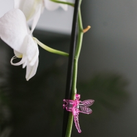 Клипса для растений &laquo;Стрекоза&raquo;, набор 10 шт., МИКС, Greengo