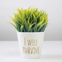 Кашпо для цветов &laquo;Текст&raquo;, 0,8 л