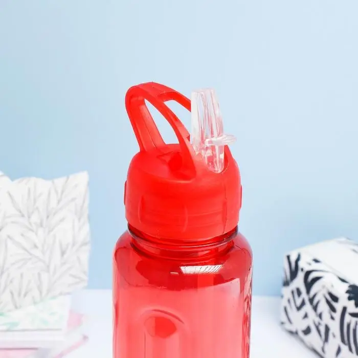 Бутылка для воды спортивная, 650 мл, "Бараолт", с поильником, 24 х 7 см, микс