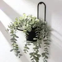 Подвес для кашпо настенный d=16 см, Золотой  "Одиночка"