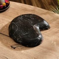 Тарелка "Ракушка" дерево Джати, 26х23х3 см, цв. тёмно-коричневый