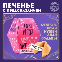 Печенье с предсказанием &laquo;У меня от тебя мурчит&raquo;, 1 шт.