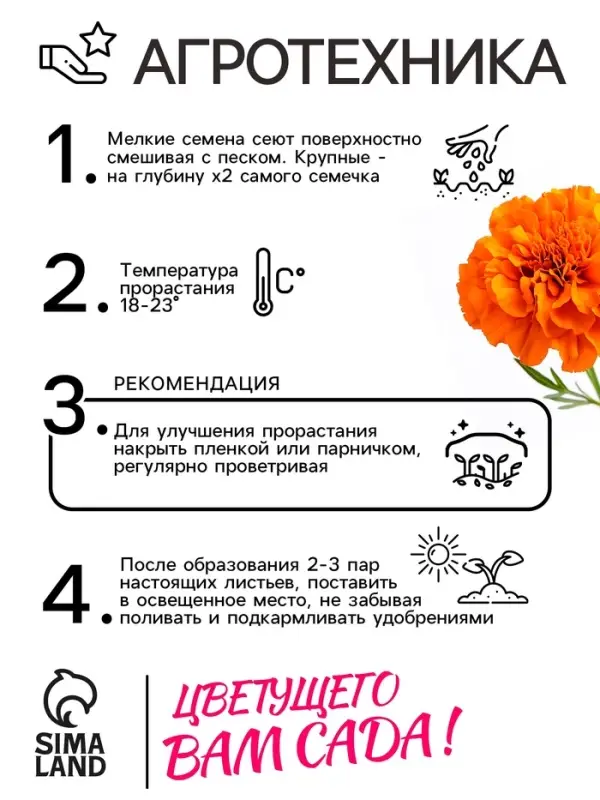 Семена цветов Бархатцы прямостоячие "Оранжевый принц", 0,3 г