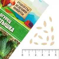 Семена Огурец "Коротышка", 0,4 г