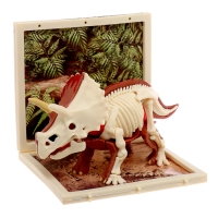 Набор для опытов &laquo;Диномир: Трицератопс&raquo;, строение тела динозавра, 33 детали