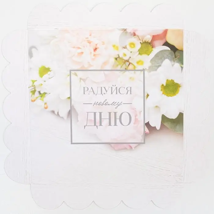Коробка для печенья, кондитерская упаковка с пластиковой крышкой, &laquo;Радуйся новому дню&raquo;, 18 х 18 х 3 см
