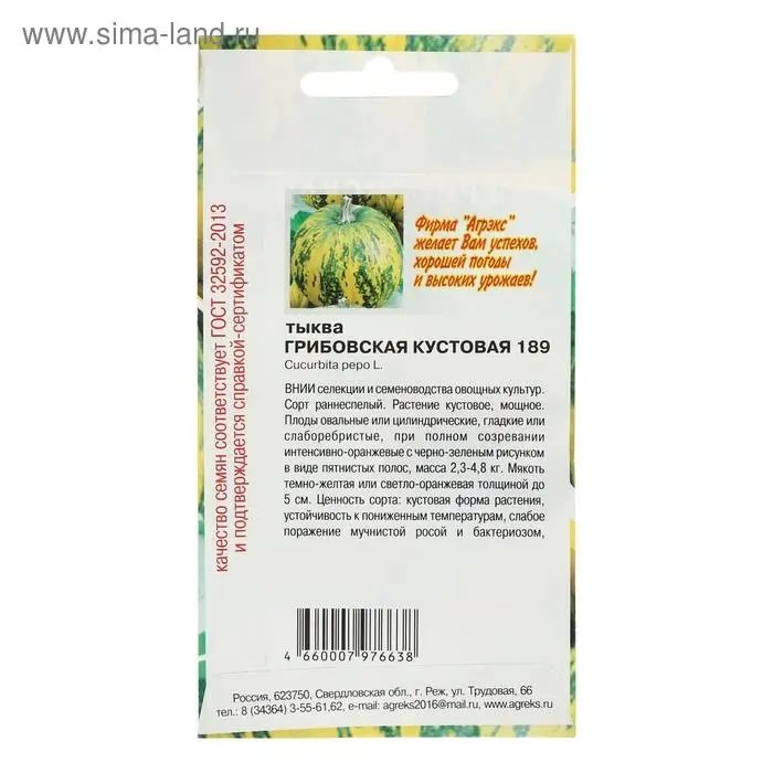 Семена Тыква Грибовская кустовая 189 5шт
