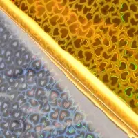 Пленка голографическая, &laquo;Сердечки&raquo;, золотая, 70 см &times; 1 м