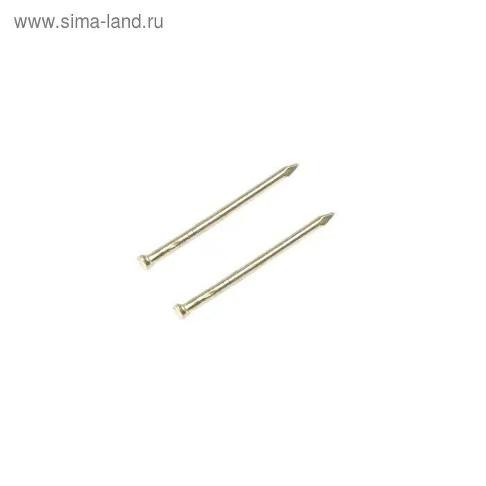 Гвозди СТРОЙБАТ, финишные, ГОСТ 7811-7035, латунированные, 1.4&times;25 мм, 50 шт.