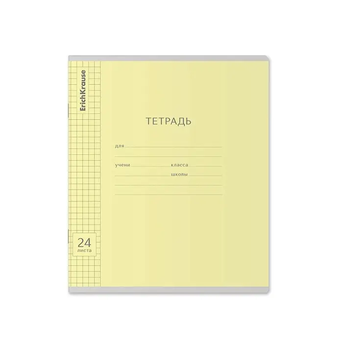 Тетрадь 24 листа в клетку, ErichKrause &laquo;Классика Visio&raquo;, обложка мелованный картон, МИКС
