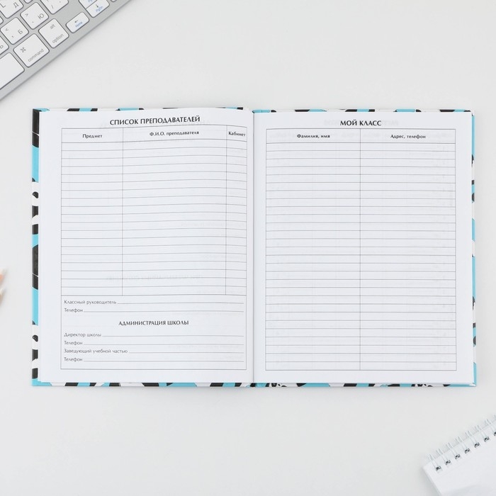 Дневник школьный 5-11 класс &laquo;Панды&raquo;, твердая обложка 7БЦ, глянцевая ламинация, 48 листов