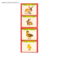 Книги развивающие набор &laquo;Растём вместе&raquo;, 8 шт. по 20 стр.