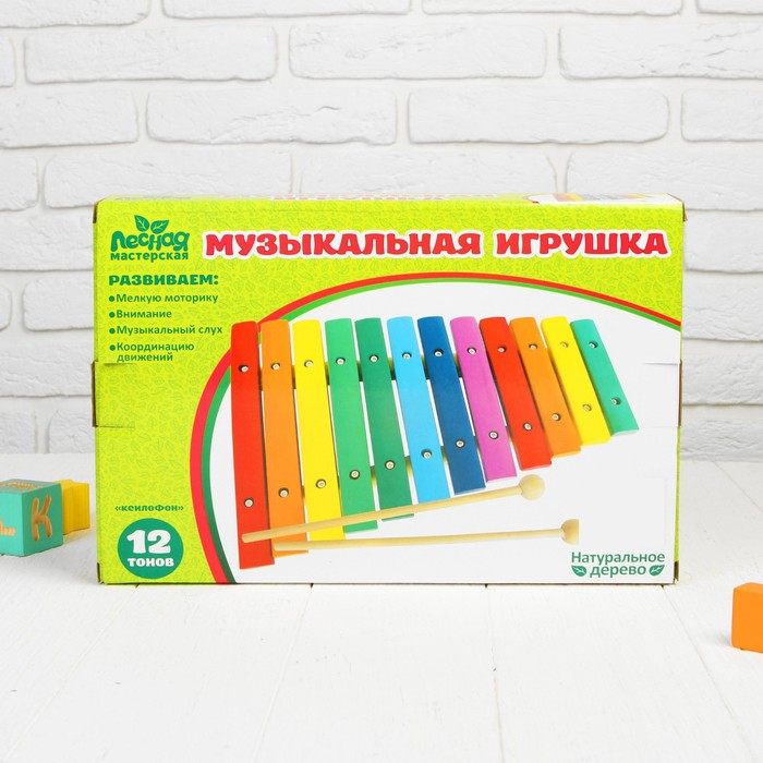 Музыкальная игрушка &laquo;Ксилофон&raquo;, 12 тонов + 2 палочки