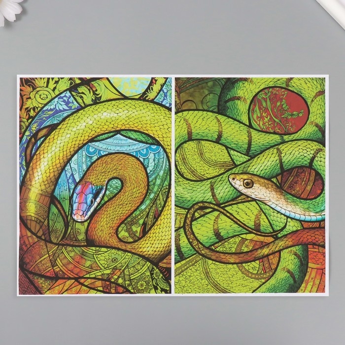 Набор декупажных карт 6 шт &laquo;Девушки и змеи&raquo;, плотность 45 гр/м2, формат А4