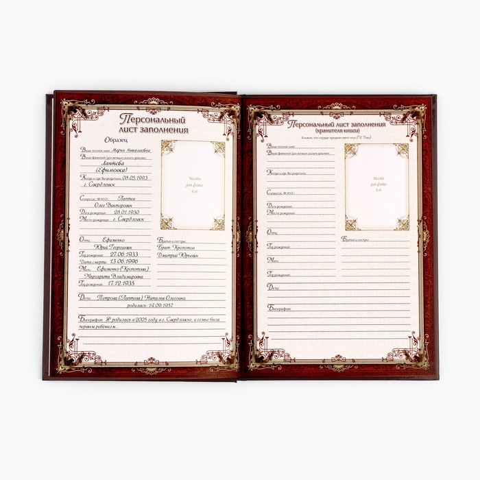 Родословная книга в шкатулке &laquo;Древо семьи&raquo;, 56 листов, 20 х 26 см.