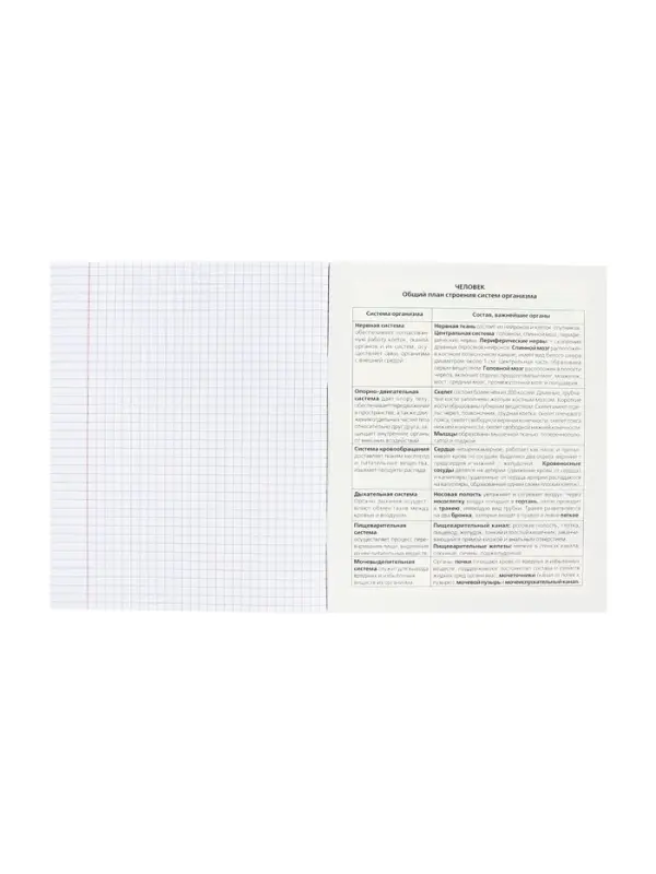 Тетрадь 48 листов в клетку &laquo;Гармония&raquo; БИОЛОГИЯ, обложка мелованный картон, выборочный лак, с интерактивным справочником, блок офсет