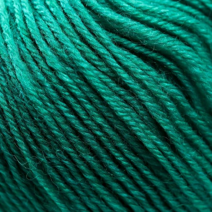Пряжа для вязания спицами, крючком &laquo;Пехорский текстиль. Детский каприз&raquo;, 50% мериносовая шерсть, 50% фибра, 225 м/50 г, (335 изумруд)