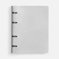 Ежедневник Ringo, недатированный, серебристый