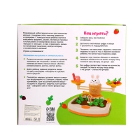 Развивающий набор &laquo;Умные весы. Зайкин огород&raquo;