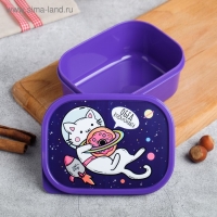 Ланч-бокс &laquo;Кот в космосе&raquo;, 0.5 л
