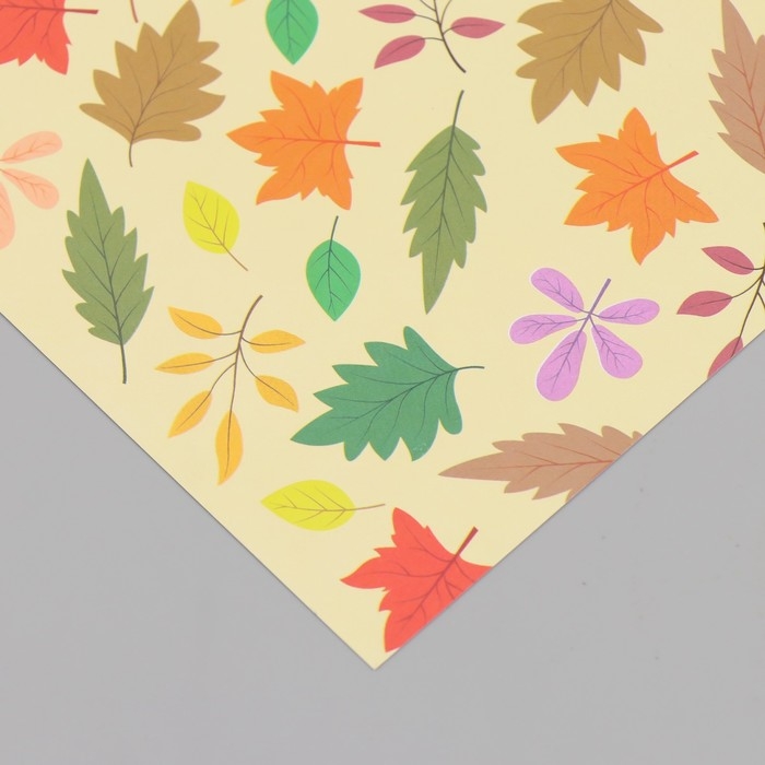 Бумага для скрапбукинга двусторонняя "Листья" плотность 180 гр набор 10 шт 15,5х17 см