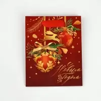 Набор пакетов ламинированных &laquo;Чудесного праздника!&raquo;