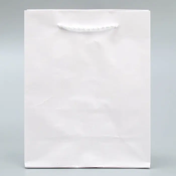 Пакет подарочный ламинированный, упаковка, &laquo;Белый&raquo;, S 12 х 15 х 5.5 см