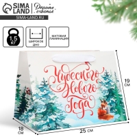 Пакет подарочный новогодний с широким дном &laquo;Новогодние чудеса&raquo;, 25 х 19 х 18 см, Новый год