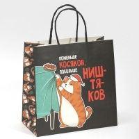 Пакет подарочный новогодний &laquo;Косяки наше всё&raquo;, 22 х 22 х 11 см, Новый год