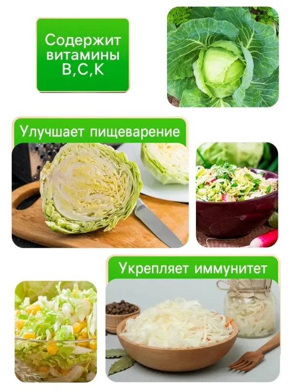 Семена Капуста белокочанная "Белорусская 455", 0,3 г