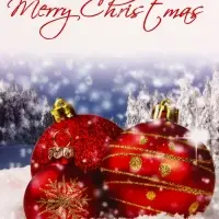 Пакет подарочный ламинированный "Новогодние игрушки", 18 х 23 х 10 см