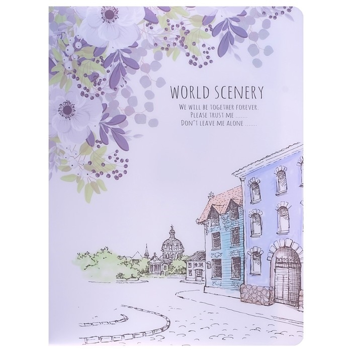 Папка А4, &laquo;Города&raquo; 30 прозрачных файлов, пластик, 400 мкм, МИКС