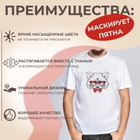 Термотрансфер &laquo;Енот в очках&raquo;, 16,5 &times; 19 см, цена за 1 лист