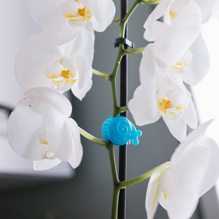 Клипса для растений &laquo;Улитка&raquo;, набор 10 шт., МИКС, Greengo