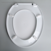 Сиденье для унитаза с крышкой Росспласт &laquo;Лотос&raquo;, 45 х 37 см, цвет белый