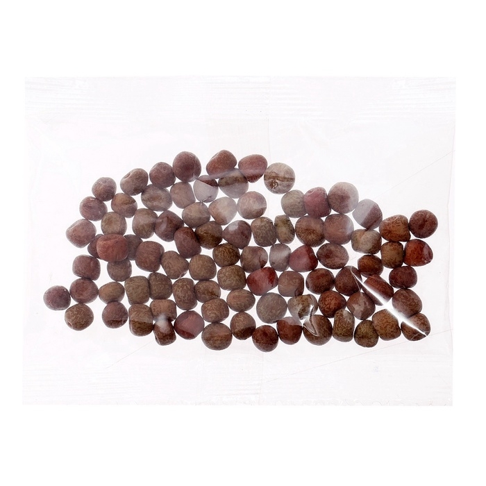 Набор для опытов &laquo;Мой минисад&raquo;, выращивание травки, своими руками