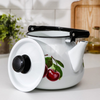 Чайник сферический &laquo;Вишневый сад&raquo;, 3,5 л, индукция, цвет белый