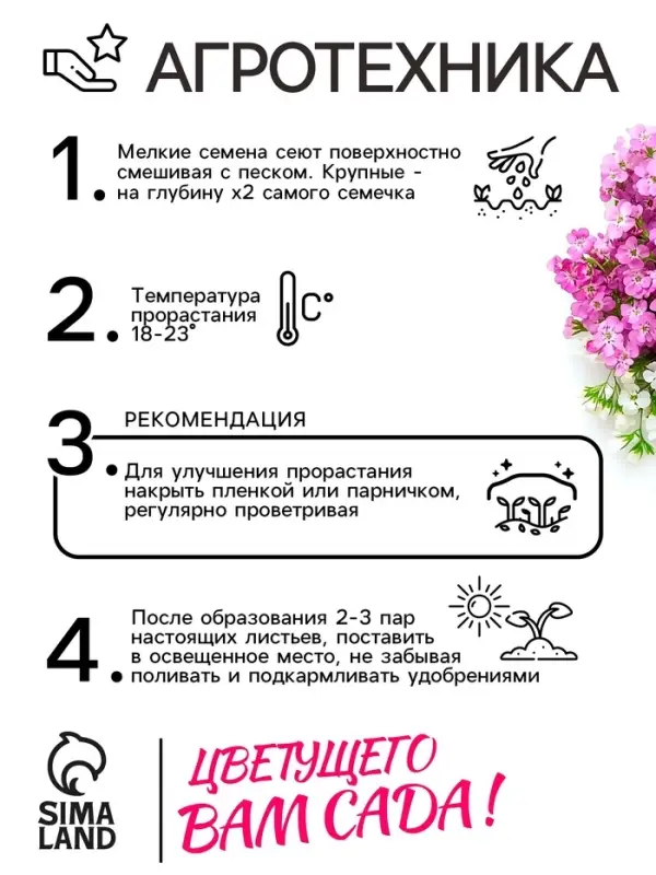 Семена цветов Алиссум &laquo;Ежевичные меренги&raquo;, 5 шт.