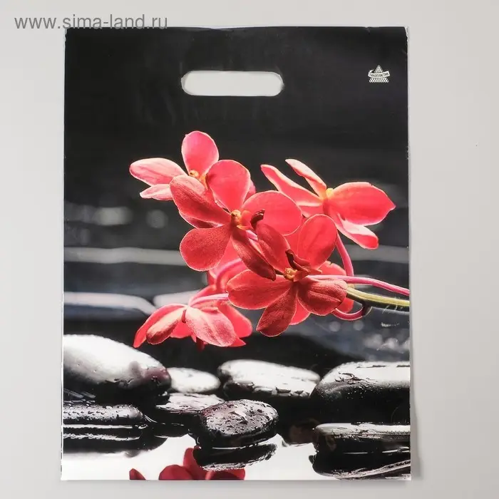 Пакет &laquo;Гармония&raquo;, полиэтиленовый с вырубной ручкой, 60 мкм, 40&times;31 см