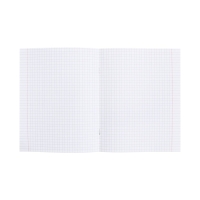 Тетрадь 48 листов в клетку &laquo;Искусство Азии&raquo; ФИЗИКА, пластиковая обложка с печатью, тиснение фольгой, с интерактивным справочником, блок офсет